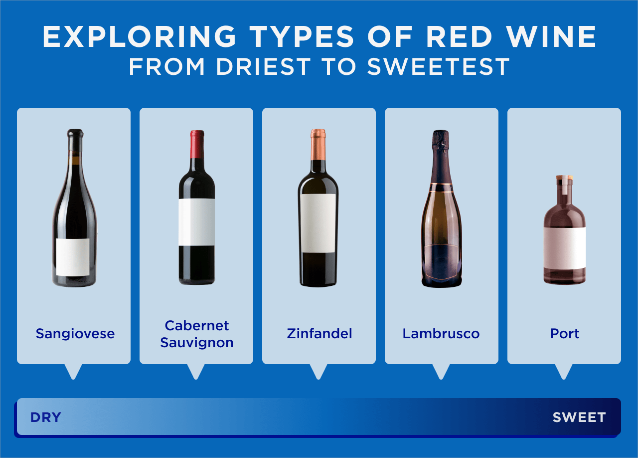 Exploring Types of Red Wine Infographic | DRINKS
