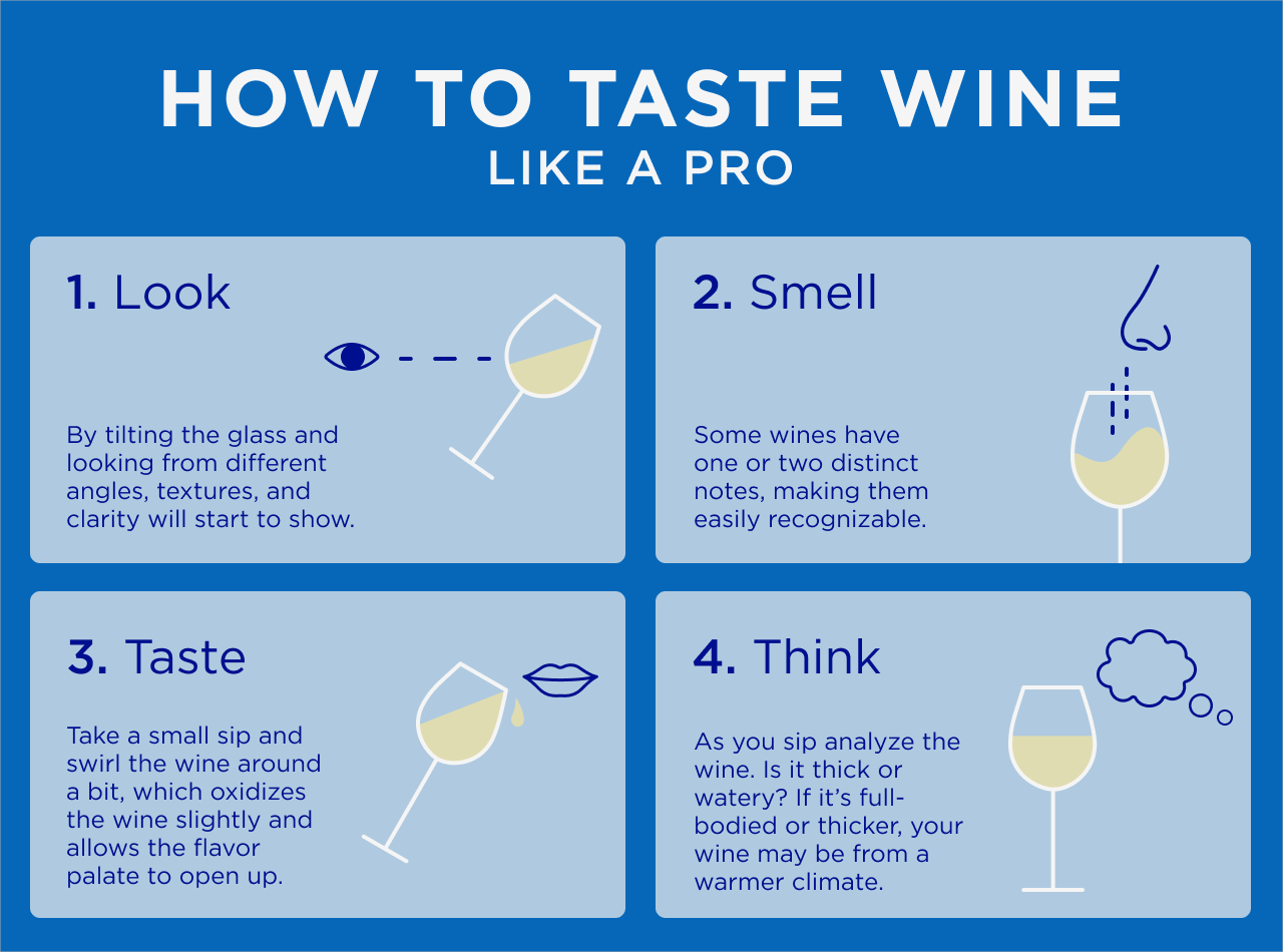 How to Taste Wine Like a Pro Infographic