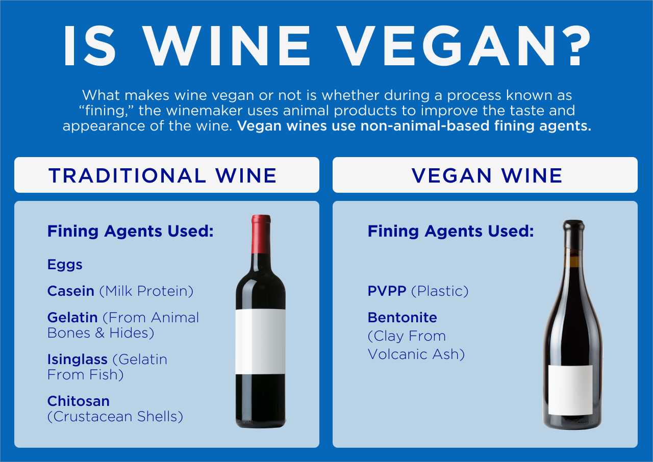 Is Wine Vegan Infographic