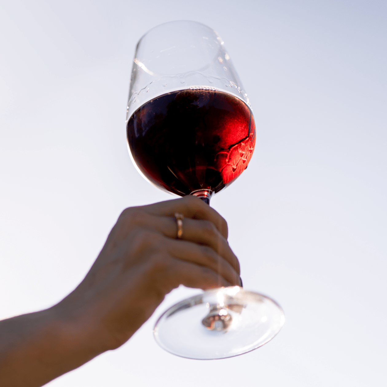 A Glass of Red Wine | Drinks