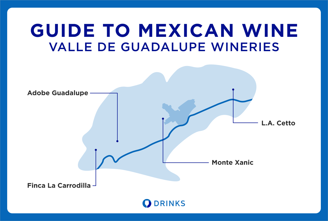 Guide to Mexican Wine Valle De Guadalupe Wineries Infographic | DRINKS