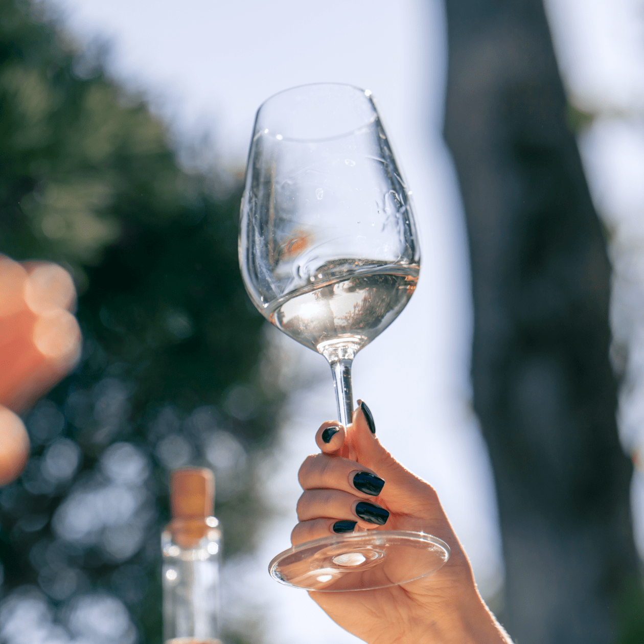 A glass of white wine | DRINKS