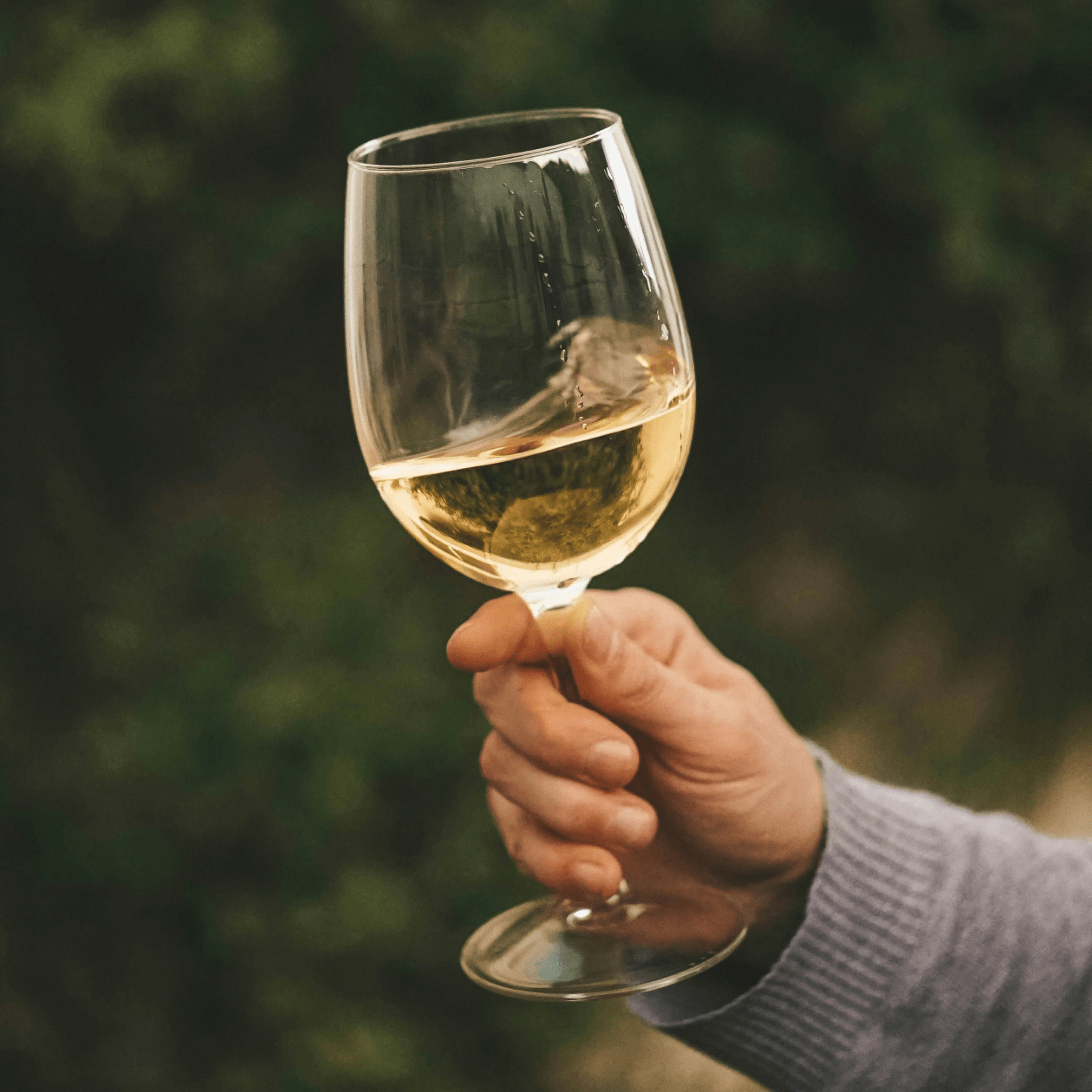 A glass of white wine | DRINKS