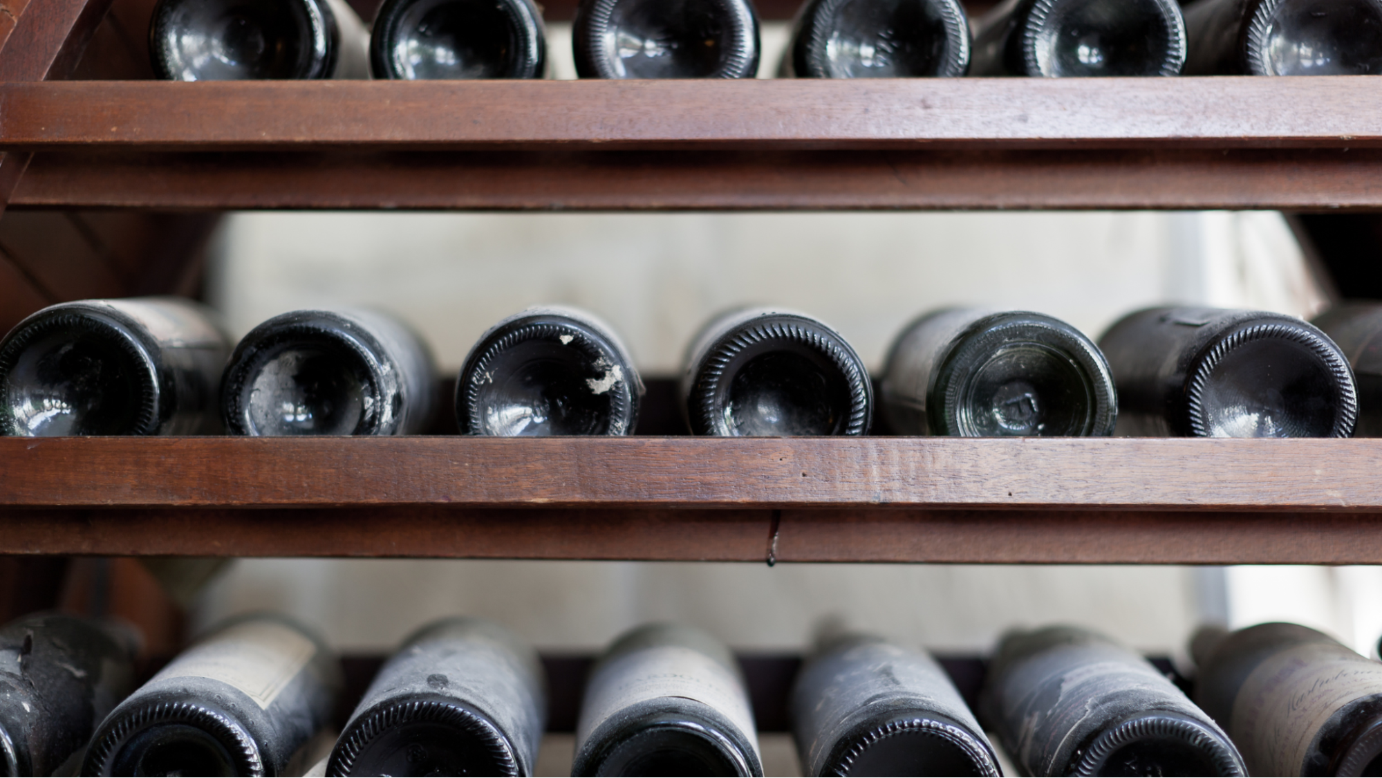 Wine bottles on wine racks