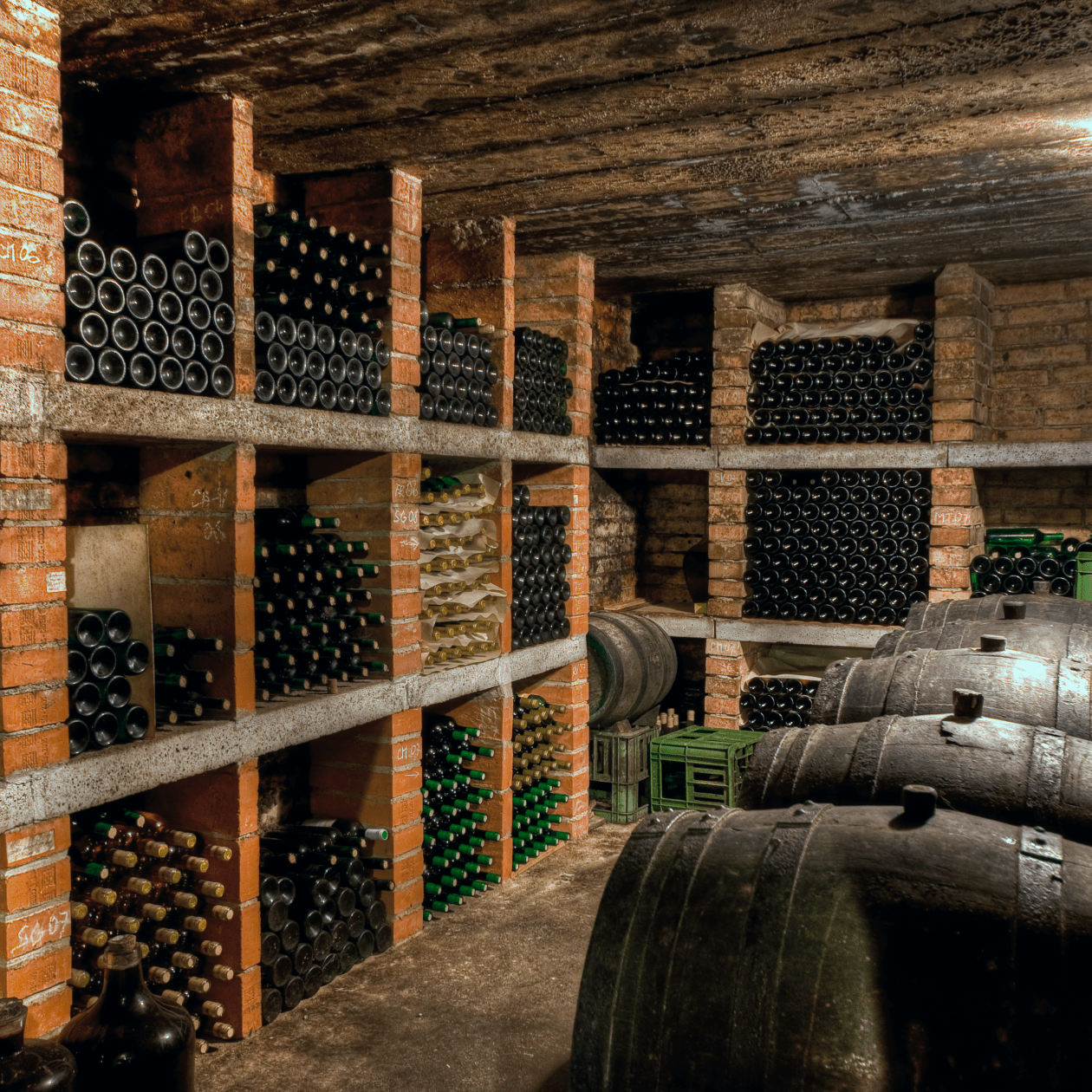 Wine Cellar and wine rack | DRINKS