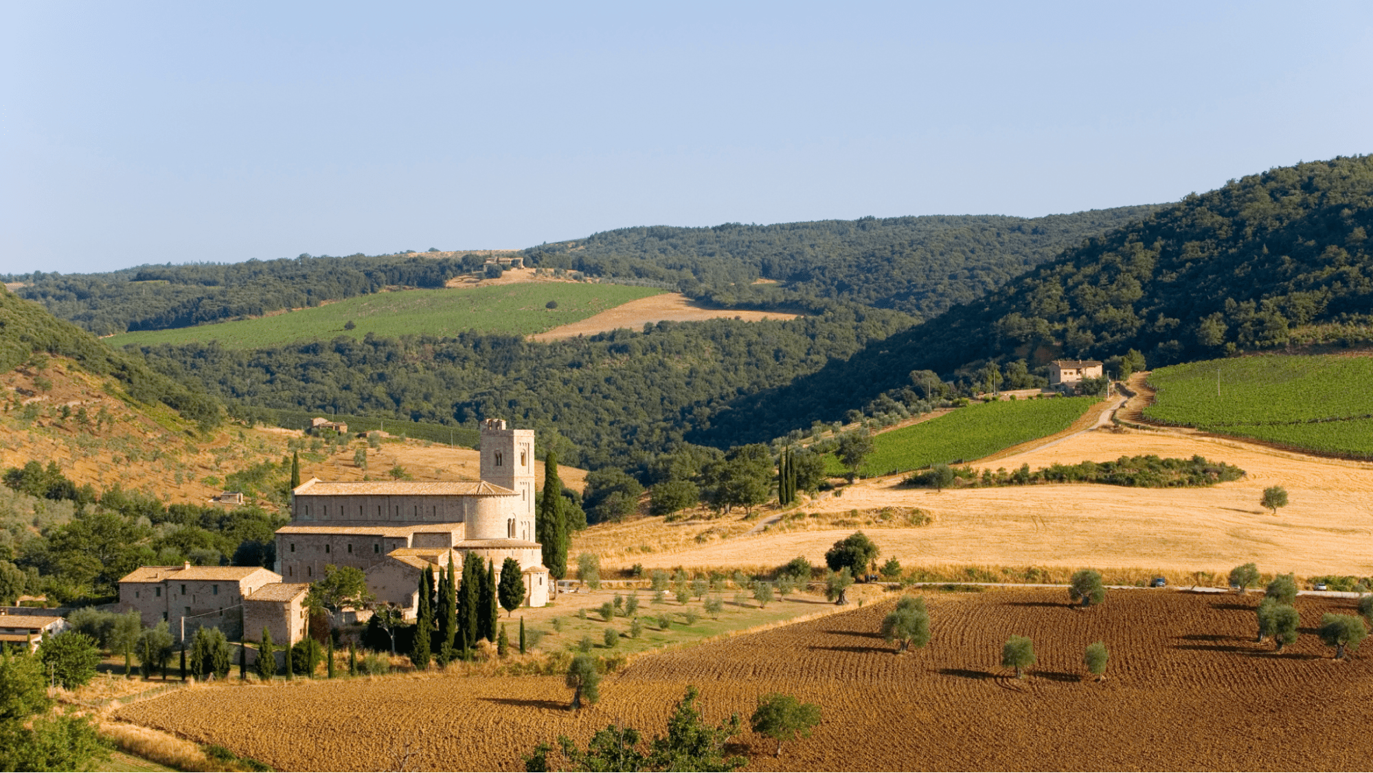 Wine vineyard in Italian countryside